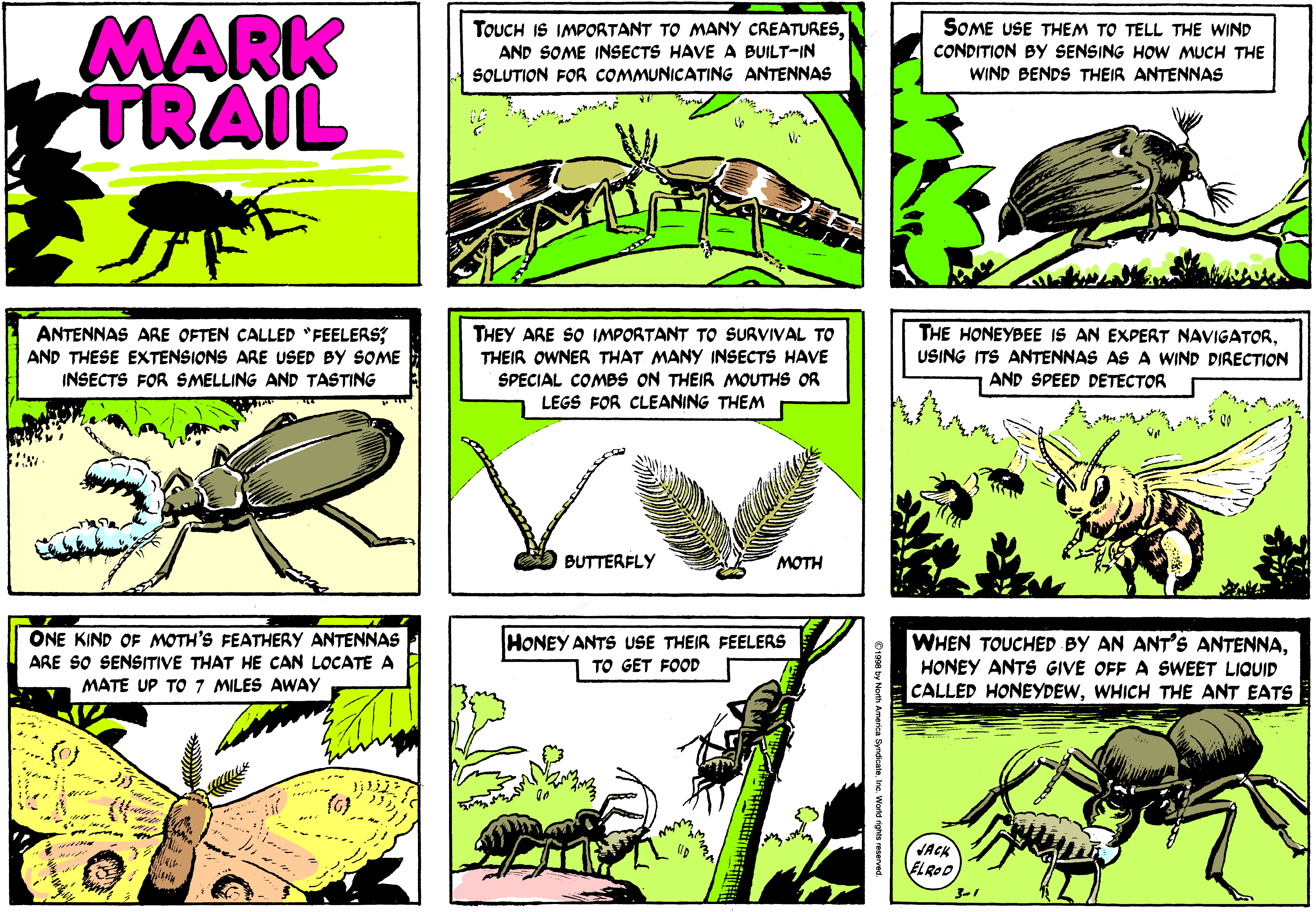 Mark Trail Comic Strip 1998-03-01 | Comics Kingdom