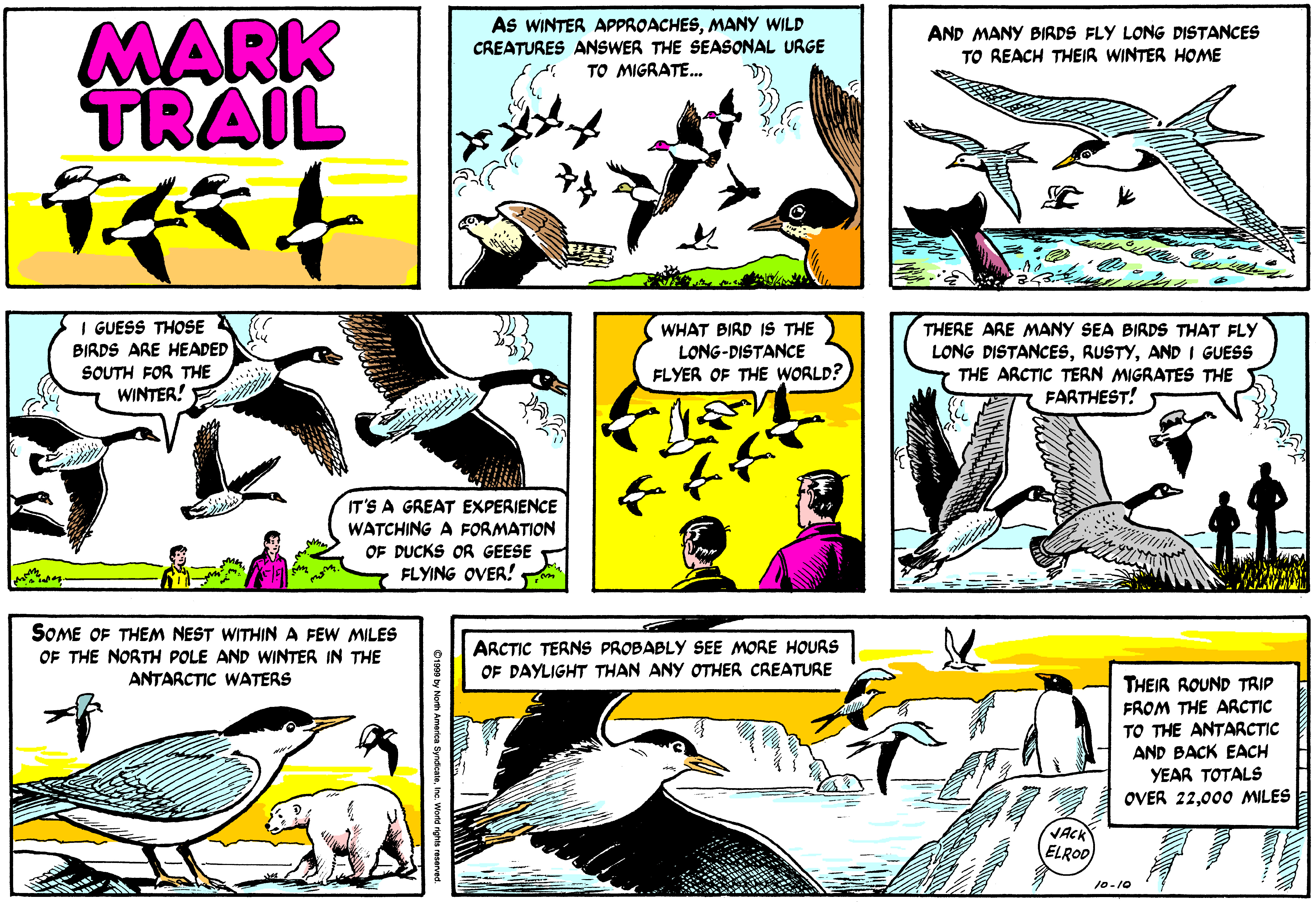 Mark Trail Comic Strip 1999-10-10 | Comics Kingdom