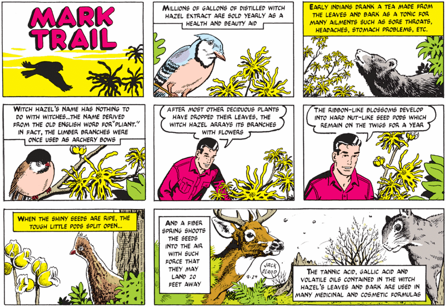Mark Trail Comic Strip 2000-09-24 | Comics Kingdom