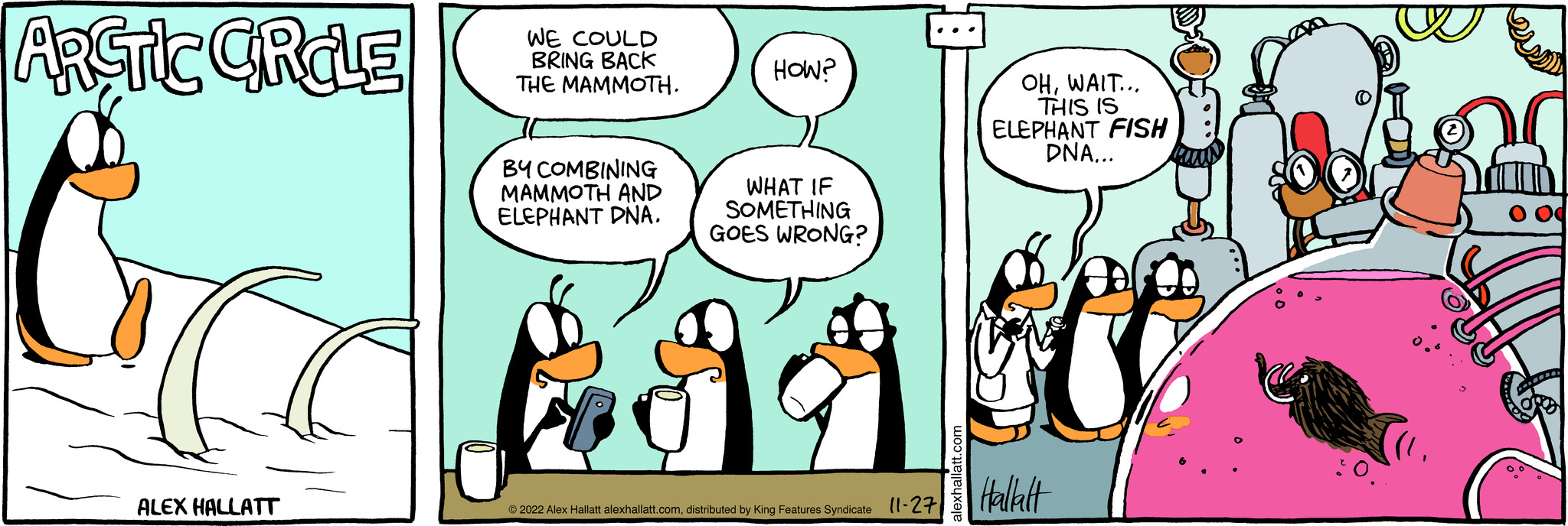 Arctic Circle Comic Strip 20221127 Comics Kingdom