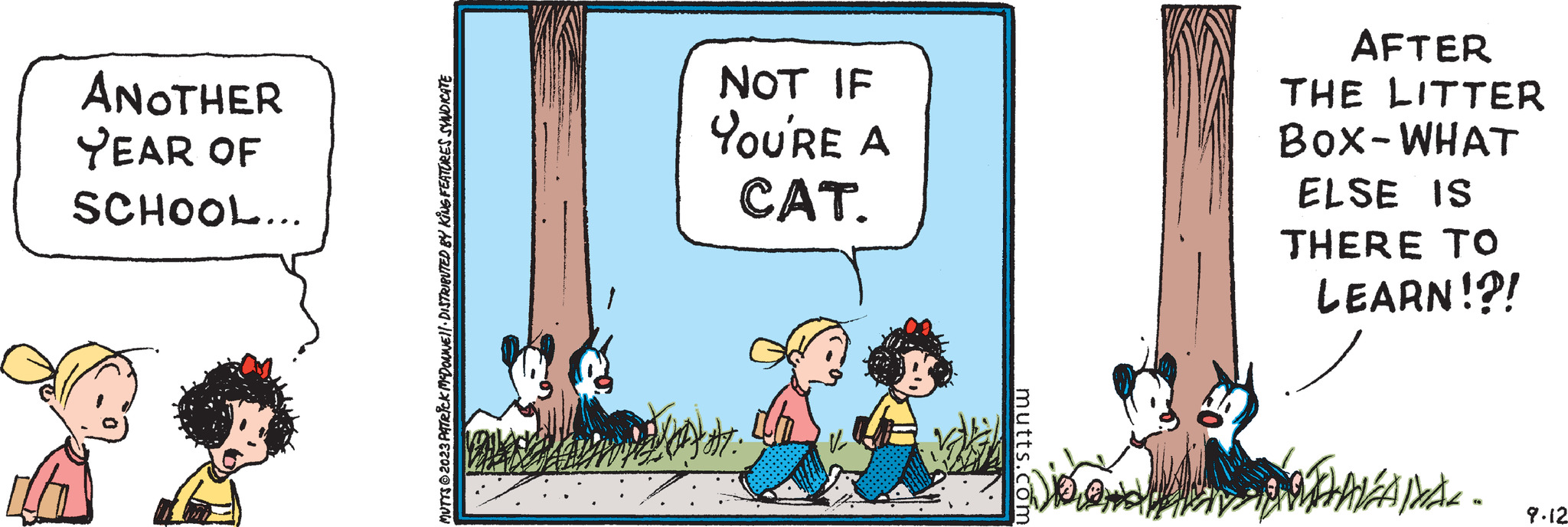 Mutts Comic Strip 2023-09-12 | Comics Kingdom