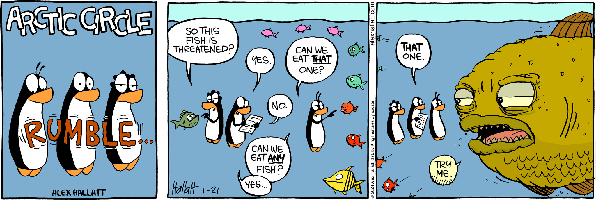 Arctic Circle Comic Strip 20240121 Comics Kingdom