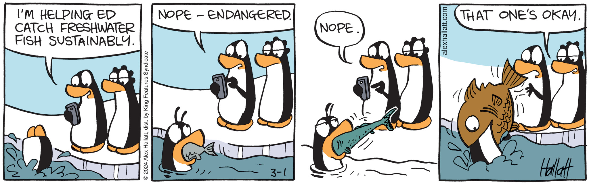 Arctic Circle Comic Strip 20240301 Comics Kingdom