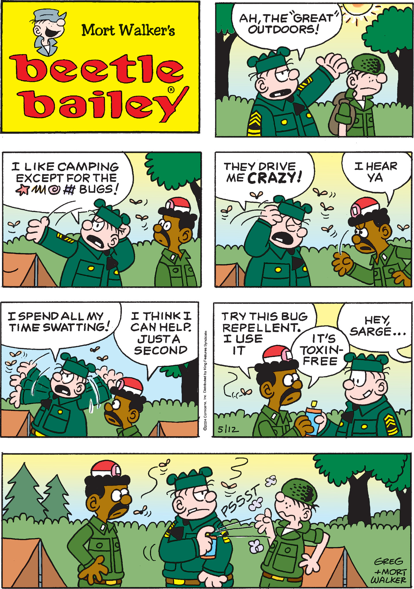 Beetle Bailey Comic Strip 2024-05-12 | Comics Kingdom