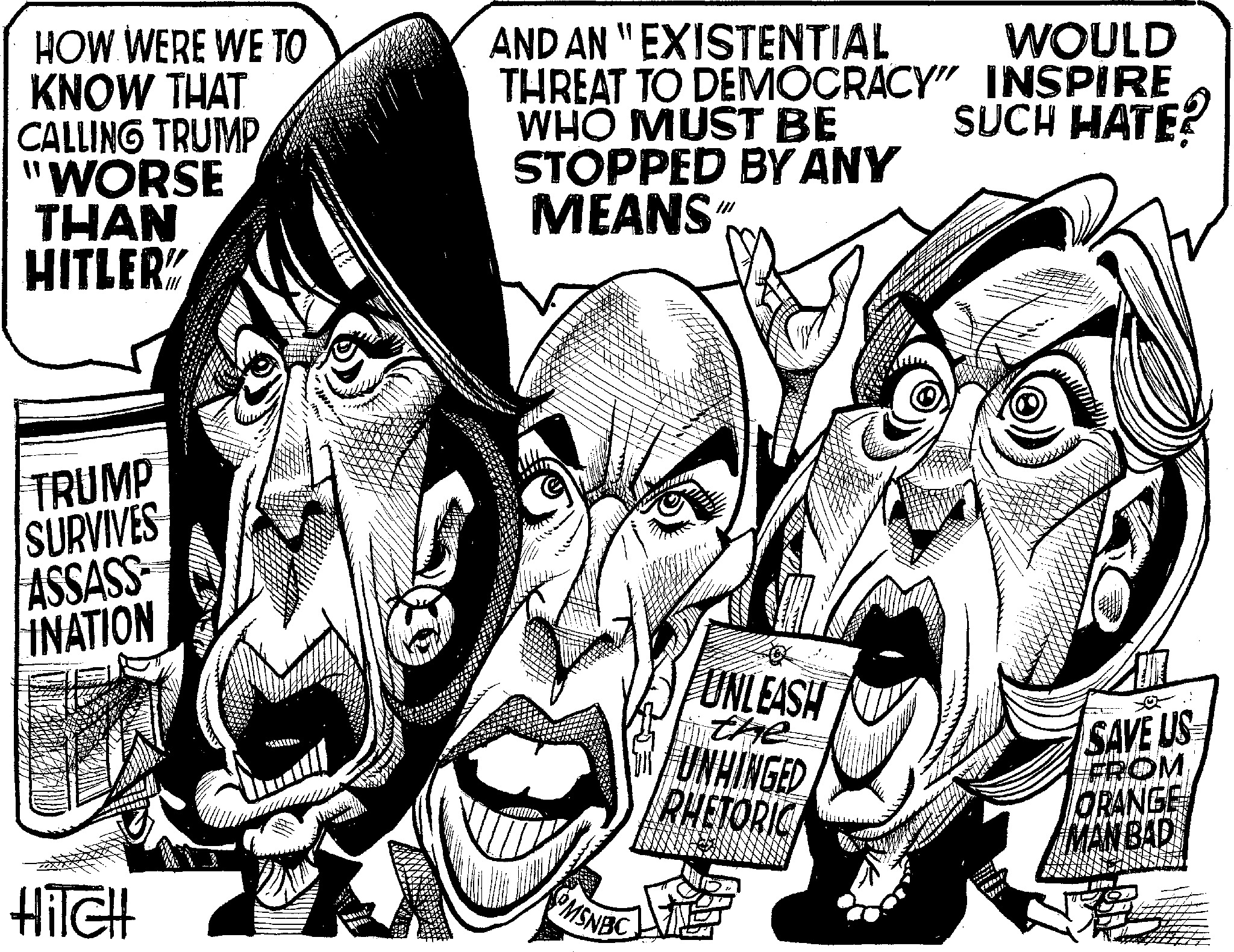 David M. Hitch Comic Strip 2024-07-16 | Comics Kingdom