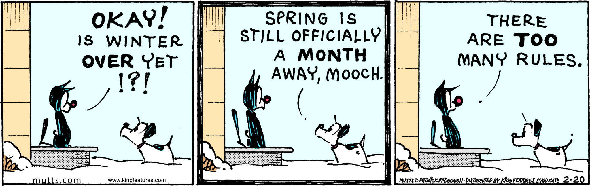Mutts Comic Strip 2025-02-20 | Comics Kingdom