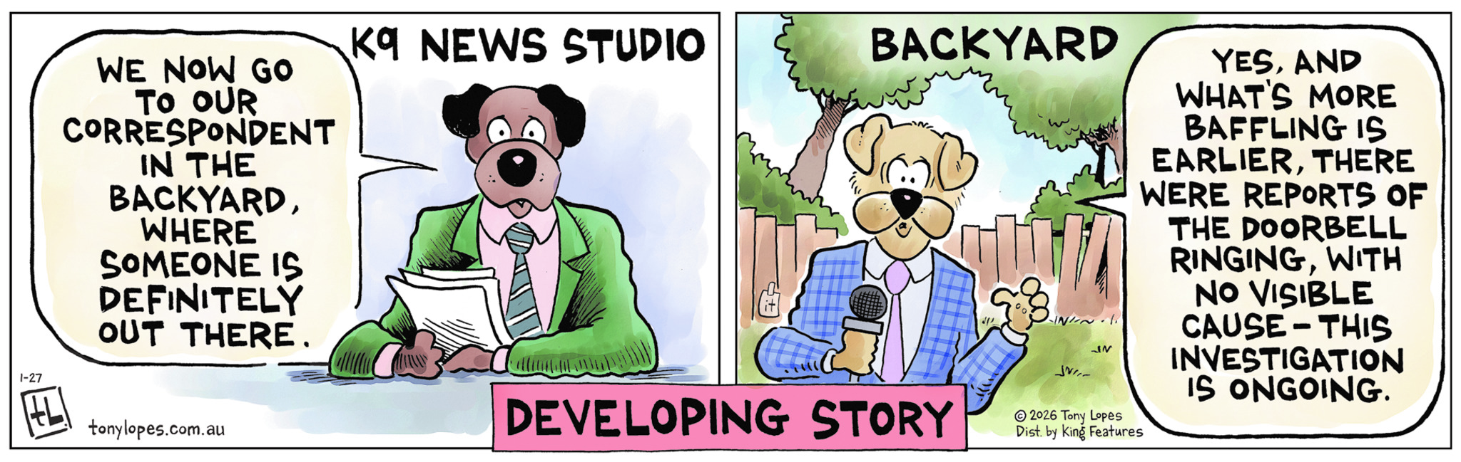 Insanity Streak Comic Strip 2026-01-27 | Comics Kingdom
