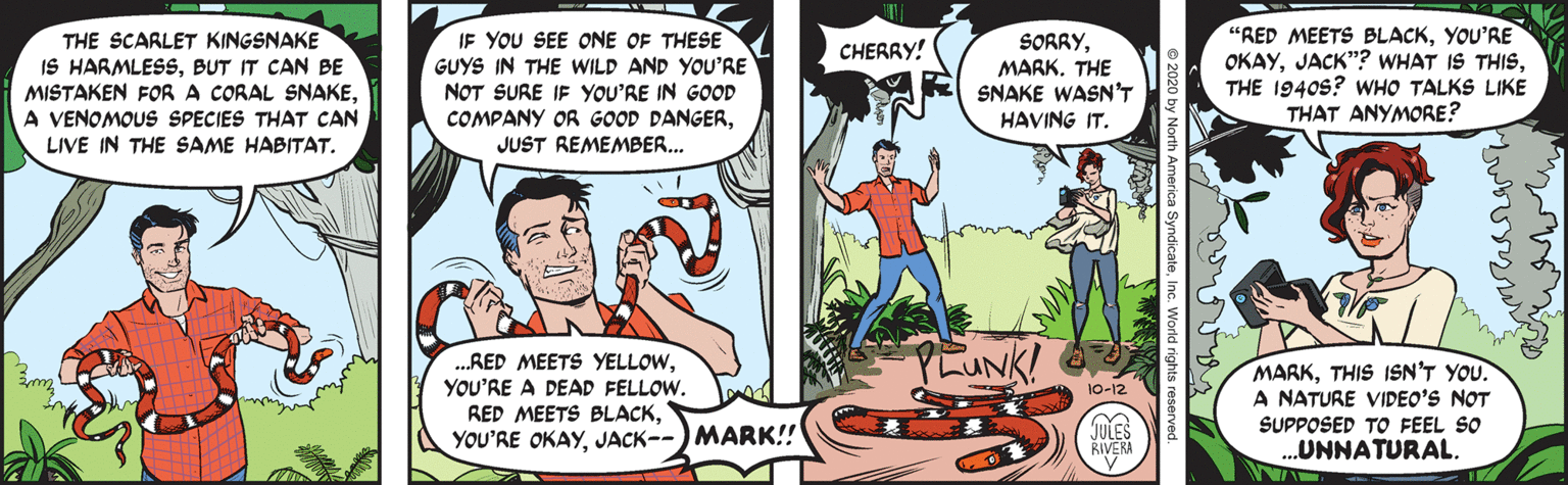 Jules Rivera's debut Mark Trail daily strip, October 12, 2020 — Mark Trail holds a Scarlet Kingsnake while Cherry Trail breaks the fourth wall