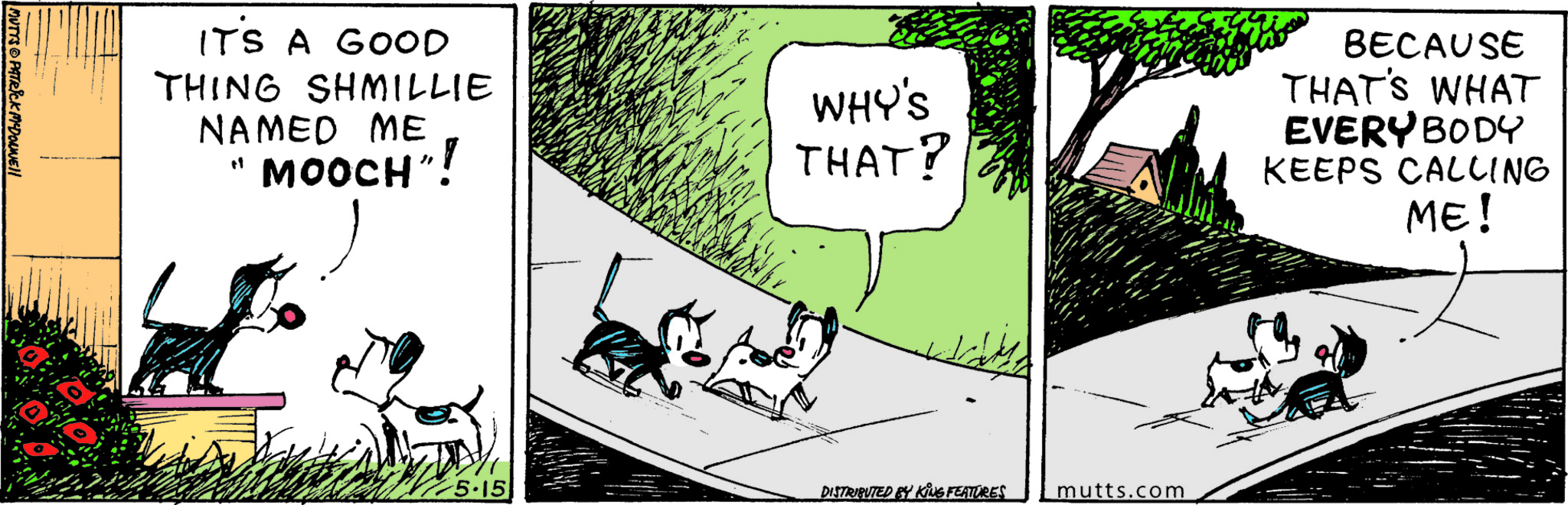 Mutts Comic Strip 2026-05-15 | Comics Kingdom