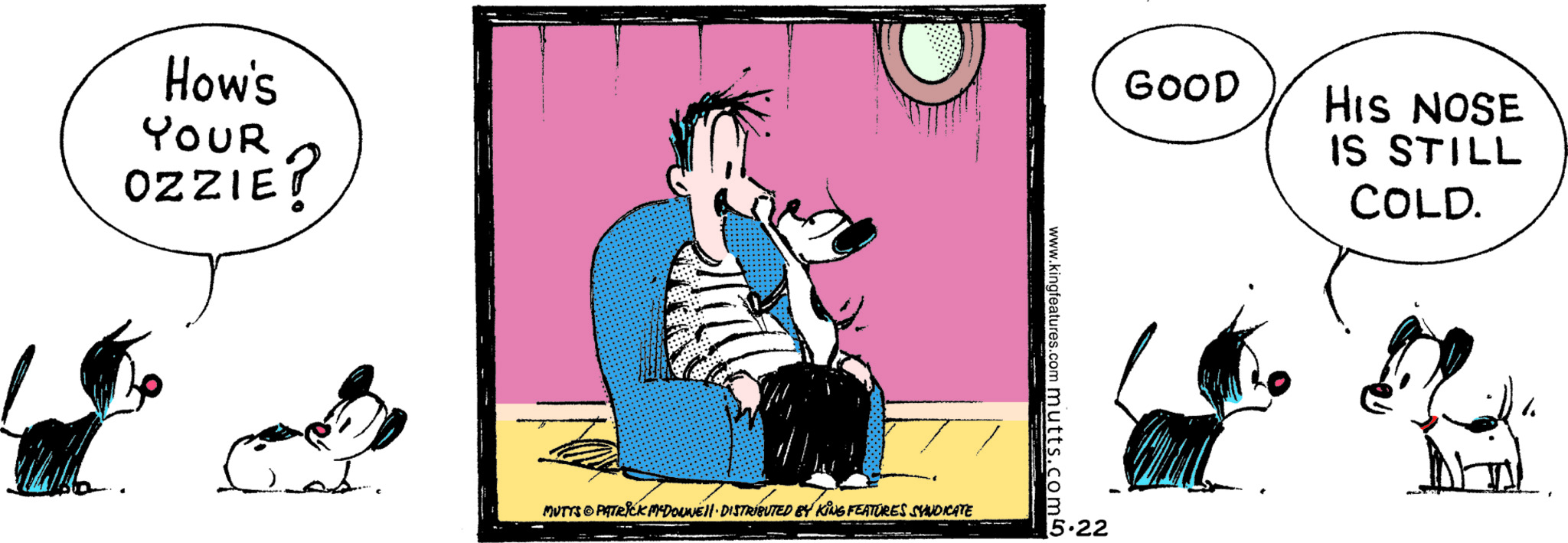 Mutts Comic Strip 2026-05-22 | Comics Kingdom