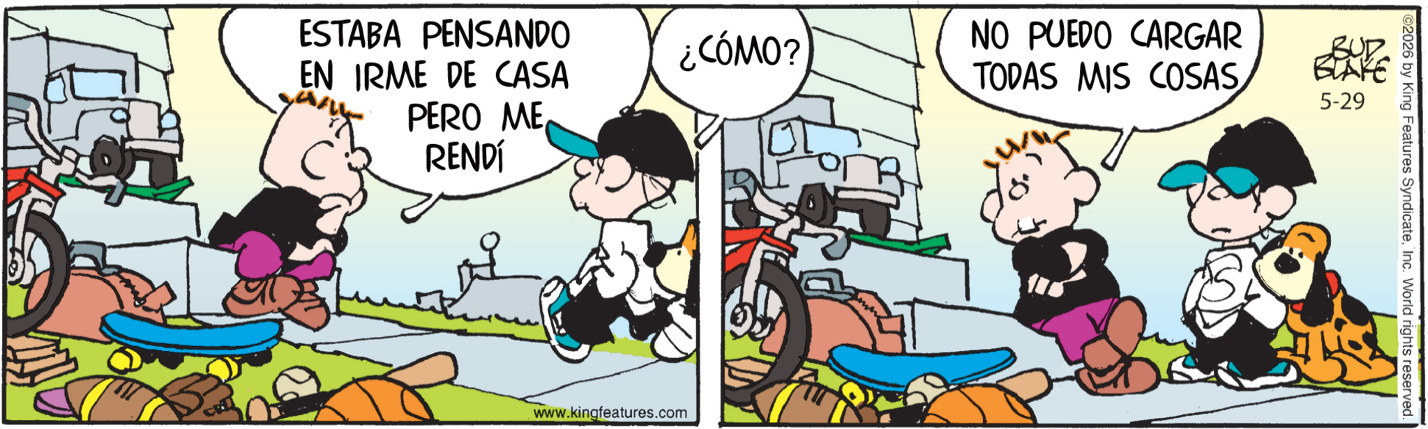 Tigrillo