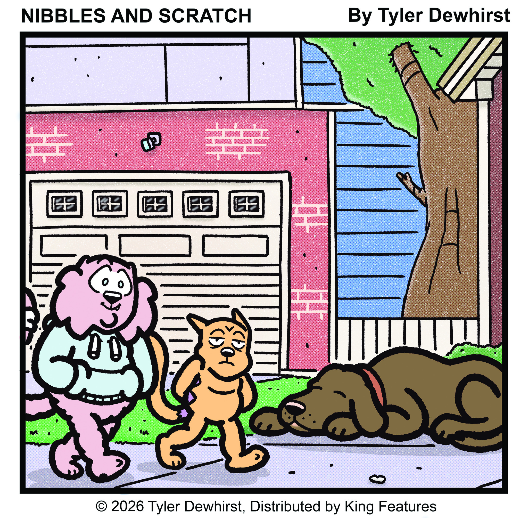 Nibbles Scratch
