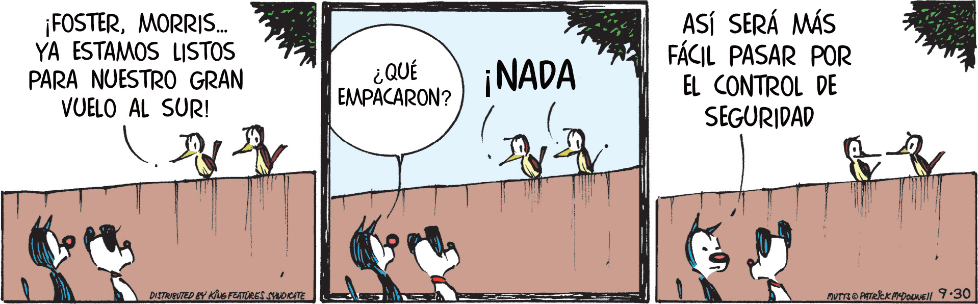 Motas