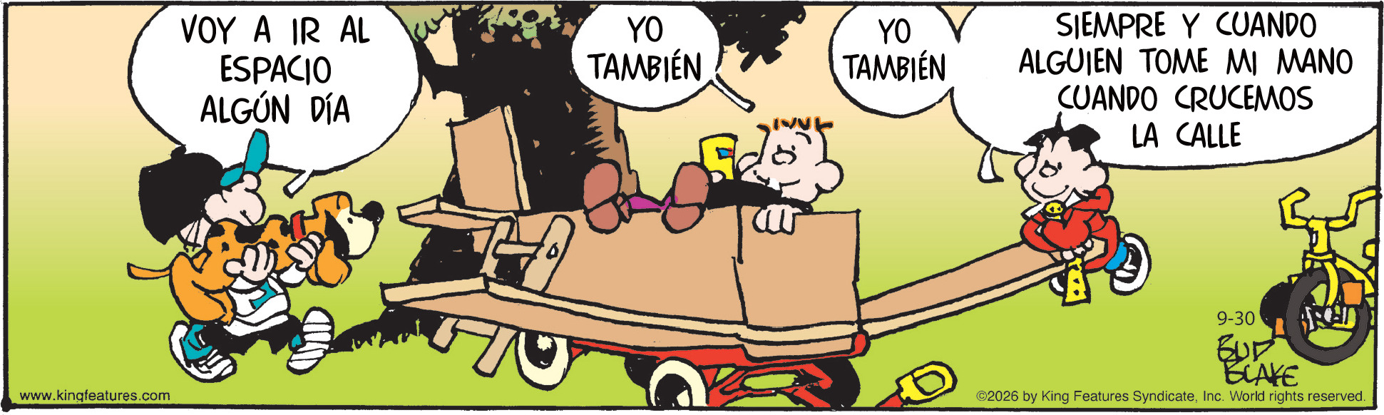 Tigrillo